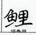 侯登峰寫的硬筆楷書鯉