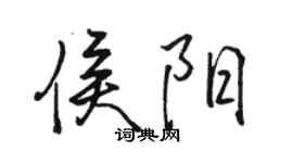 駱恆光侯陽行書個性簽名怎么寫