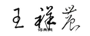 駱恆光王祥農草書個性簽名怎么寫