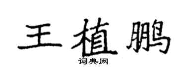 袁強王植鵬楷書個性簽名怎么寫