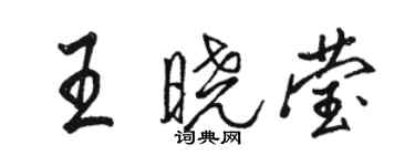 駱恆光王曉瑩行書個性簽名怎么寫