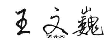 駱恆光王文巍行書個性簽名怎么寫