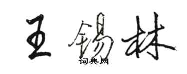 駱恆光王錫林行書個性簽名怎么寫