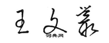 駱恆光王文叢草書個性簽名怎么寫