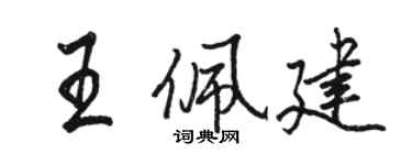 駱恆光王佩建行書個性簽名怎么寫