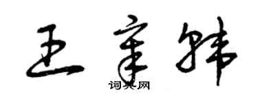 曾慶福王章韓草書個性簽名怎么寫