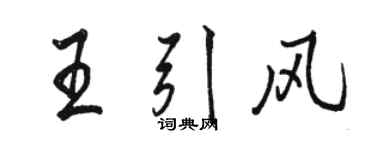 駱恆光王引風行書個性簽名怎么寫