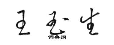 駱恆光王玉生草書個性簽名怎么寫