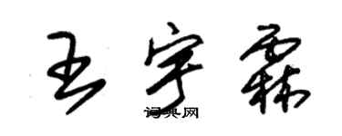 朱錫榮王宇霖草書個性簽名怎么寫