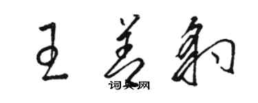 駱恆光王善豹草書個性簽名怎么寫