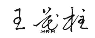 駱恆光王花柱草書個性簽名怎么寫