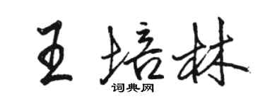 駱恆光王培林行書個性簽名怎么寫