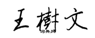 王正良王樹文行書個性簽名怎么寫