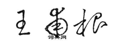 駱恆光王甫根草書個性簽名怎么寫