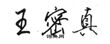 駱恆光王密真行書個性簽名怎么寫