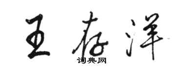 駱恆光王存洋行書個性簽名怎么寫