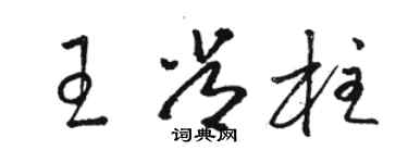 駱恆光王常柱草書個性簽名怎么寫