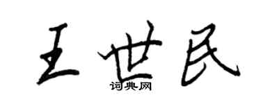 王正良王世民行書個性簽名怎么寫