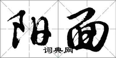 胡問遂陽面行書怎么寫