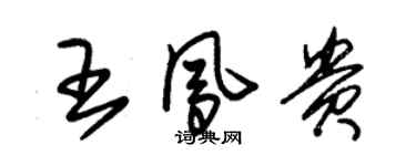 朱錫榮王鳳貴草書個性簽名怎么寫