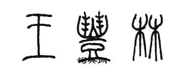 陳墨王豐林篆書個性簽名怎么寫