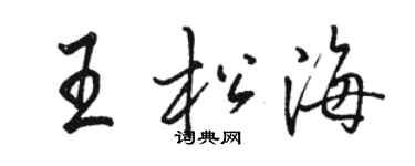 駱恆光王松海行書個性簽名怎么寫