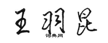 駱恆光王羽昆行書個性簽名怎么寫