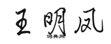 駱恆光王明鳳行書個性簽名怎么寫