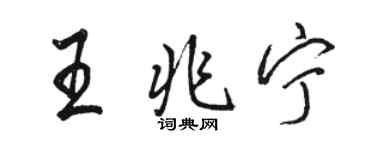 駱恆光王兆寧行書個性簽名怎么寫