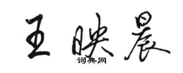 駱恆光王映晨行書個性簽名怎么寫