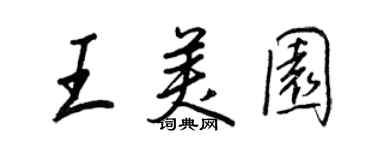王正良王美園行書個性簽名怎么寫