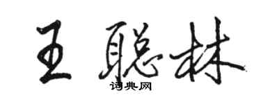 駱恆光王聰林行書個性簽名怎么寫