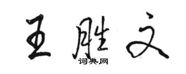 駱恆光王勝文行書個性簽名怎么寫