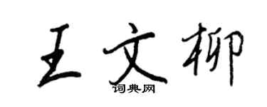 王正良王文柳行書個性簽名怎么寫
