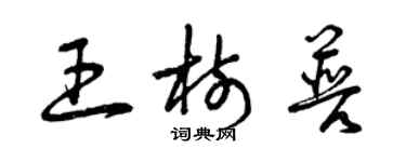 曾慶福王樹普草書個性簽名怎么寫