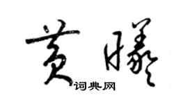 梁錦英黃曦草書個性簽名怎么寫