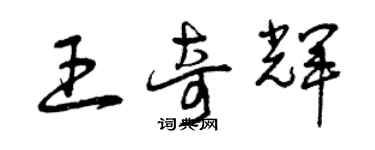 曾慶福王奇輝草書個性簽名怎么寫