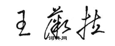 駱恆光王薇拉草書個性簽名怎么寫