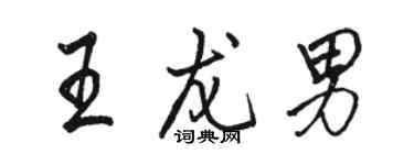 駱恆光王龍男行書個性簽名怎么寫