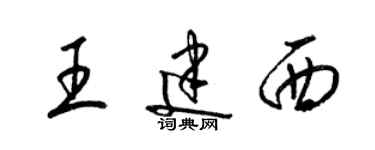 梁錦英王建西草書個性簽名怎么寫