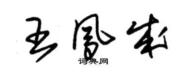 朱錫榮王鳳成草書個性簽名怎么寫