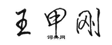 駱恆光王甲剛行書個性簽名怎么寫