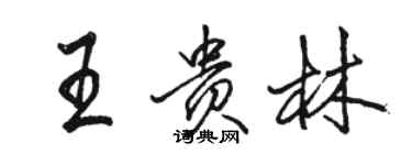 駱恆光王貴林行書個性簽名怎么寫