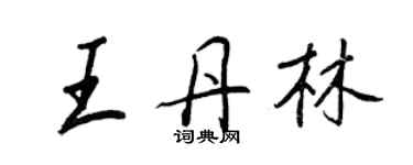 王正良王丹林行書個性簽名怎么寫