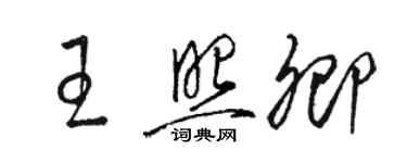 駱恆光王照卿草書個性簽名怎么寫