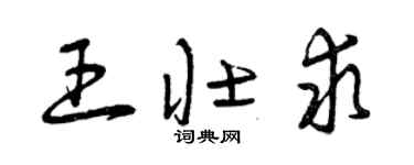 曾慶福王壯求草書個性簽名怎么寫
