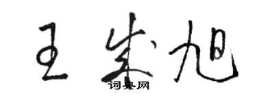 駱恆光王成旭草書個性簽名怎么寫