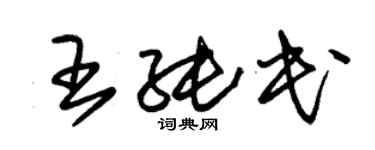 朱錫榮王純民草書個性簽名怎么寫
