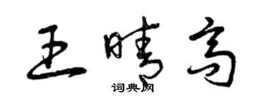 曾慶福王晴高草書個性簽名怎么寫