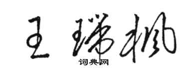 駱恆光王瑞楓草書個性簽名怎么寫